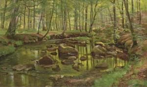 Mossy Rocks In A Stream Mossy Rocks In A Stream