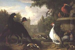 Exotic fowl in an ornamental garden by Jakab Bogdany
