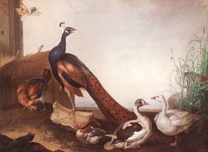 Peacock with Geese and Hen by Jakab Bogdany