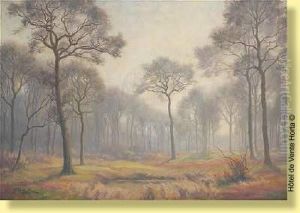 Leverde Brume Sur La Foret