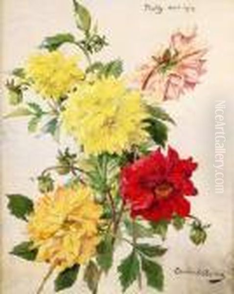 Dahlias, Aout 1914 - view 1