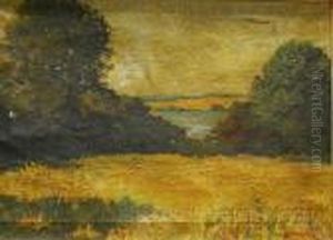 Fields And Woods by Yarnall Abbott
