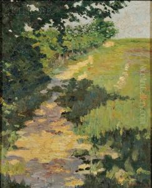 View Of A Sun-dappled Road - view 1