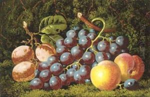 Plums grapes and peaches by Charles Thomas Bale