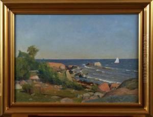Svartsjolandet by Erik Abrahamsson