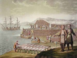 The fishing industry, Newfoundland, from 'Le Costume Ancien et Moderne' by G. Bramati