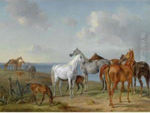 Pferde Auf Der Weide (arabian Horses At Pasture) by Adam Albrecht