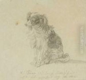Le Prince' Des Konigs Lieblings Hund