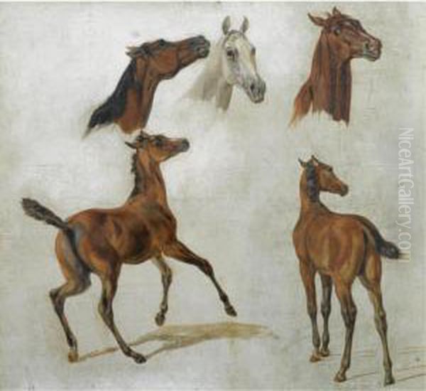 Pferdestudien (horse Studies) - view 1