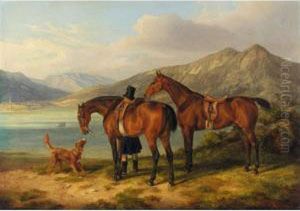 Reiter Und Zwei Pferde Am See (rider And Two Bays By A Lake)