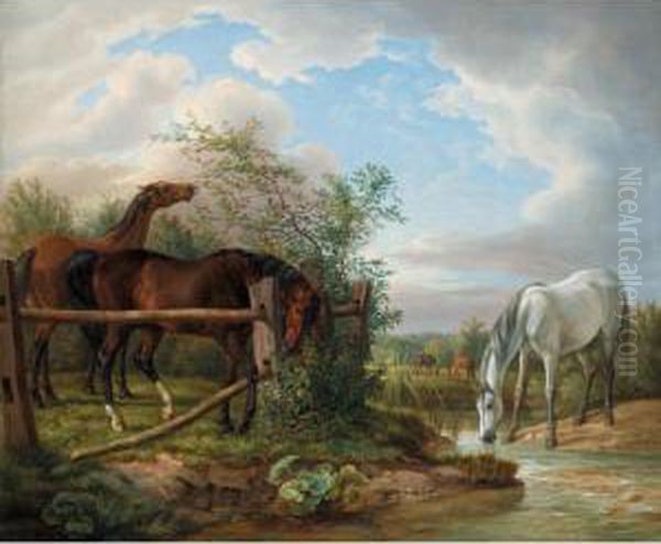 Vollbluter Auf Der Koppel (thoroughbreds In A Paddock) - view 1