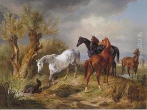 Vollbluter Auf Der Weide (thoroughbreds In A Pasture) by Adam Albrecht