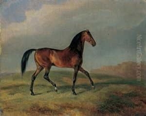 Ein Brauner Im Trab Vor Landschaftlichem Hintergrund. by Adam Albrecht
