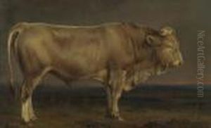 Bull On The Meadow. by Benno Adam