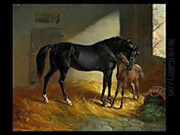 Pferd Und Fohlen In Der Stallung Balz - view 1