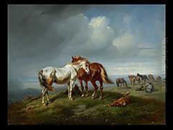 Pferde Auf Der Weide Vor Dem Sturm - view 1