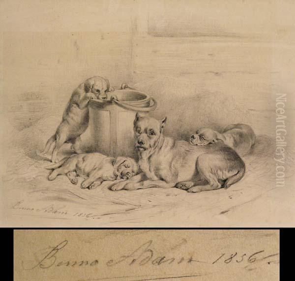 Hundefamilie Im Stallinterieur - view 1