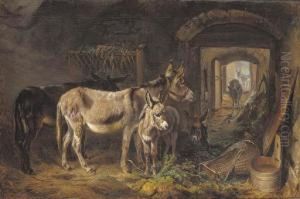 Donkeys In A Stable Interior by Benno Adam