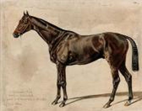 Callistrate Al Gran Premio Di Parigi Del 1893 - view 1