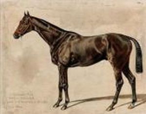 Callistrate Al Gran Premio Di Parigi Del 1893