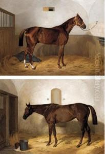 Portrait Of A Race Horse In A Stable by Emil Adam