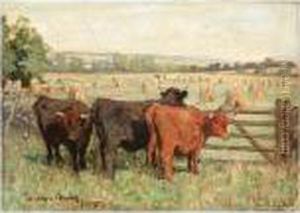 Highland Cattle by Joseph Denovan, Adam Jnr.