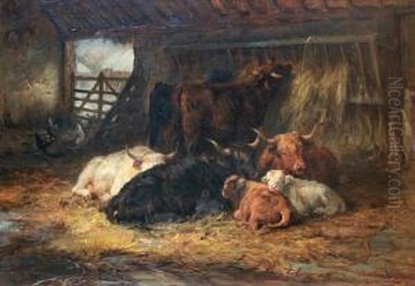 'winter Quarters', Highland Cattle In Abarn - view 1
