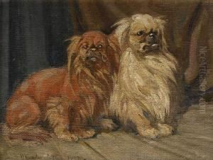 Two Pekinese by Joseph Denovan Adam