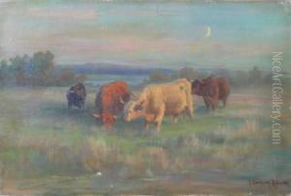 Crazing Cattle - view 1