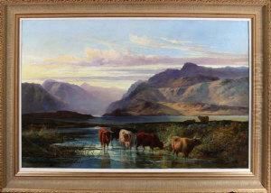 Cattle On The Shore Of A Loch