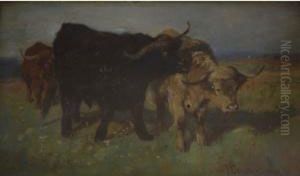 Highland Cattle by Joseph Denovan Adam