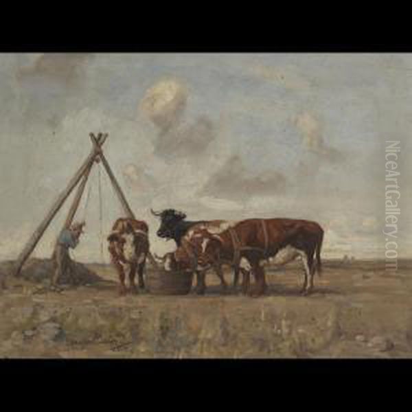 Farmer Watering Bulls At A Trough - view 1