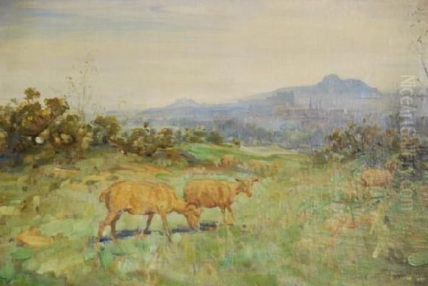 Landscape - view 1
