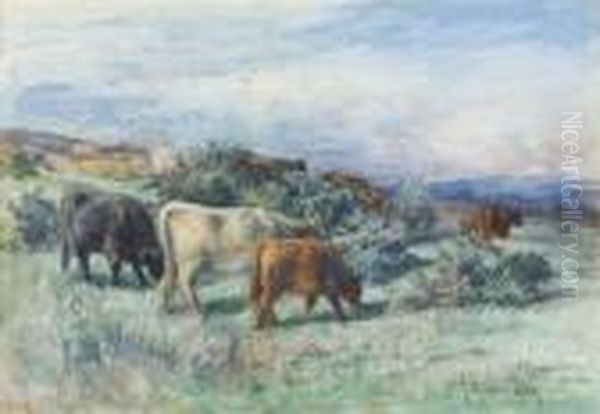 Highland Cattle Grazing On A Hillside by Joseph Denovan Adam