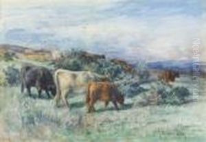 Highland Cattle Grazing On A Hillside by Joseph Denovan Adam