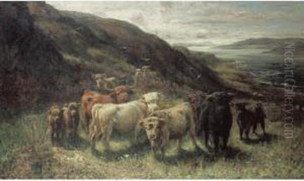 September In The Highlands - view 1