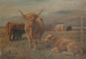Cattle In A Field Cattle In A Field