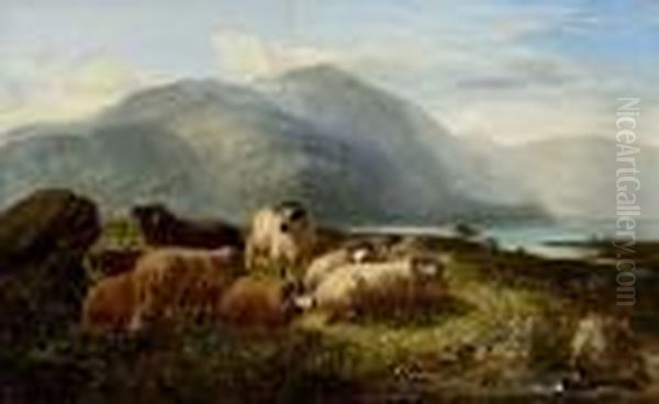 Sheep In A Highland Landscape - view 1