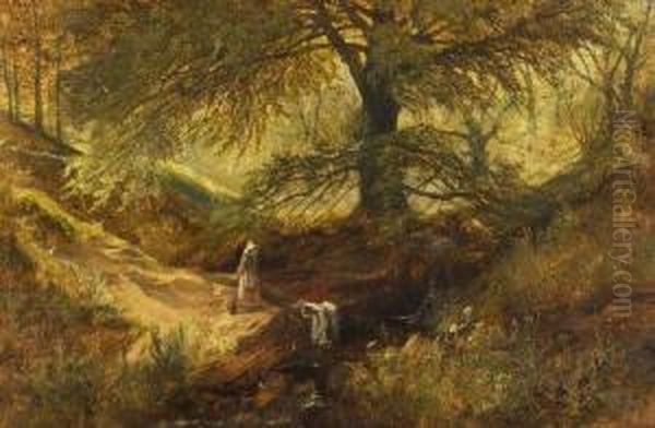 Fairlight Glen - Near Hastings - view 1