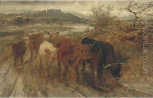 Cattle On A Track - view 1