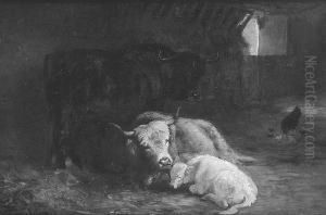 Cattle In A Barn