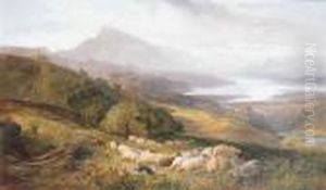 Collecting The Flock by Joseph Denovan Adam