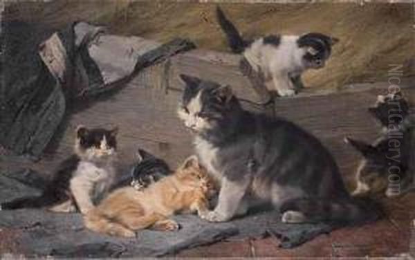Katzenfamilie - view 1