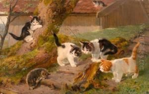 Five Cats And A Hedgehog.