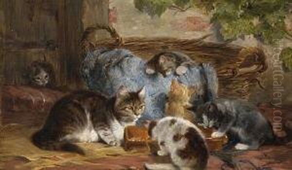Katzenmutter Mit Ihren
Jungen - view 1