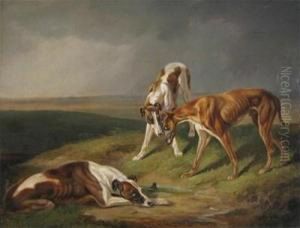 Three Lurchers In A Landscape