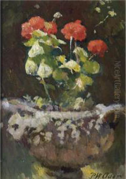 The Geraniums - view 1