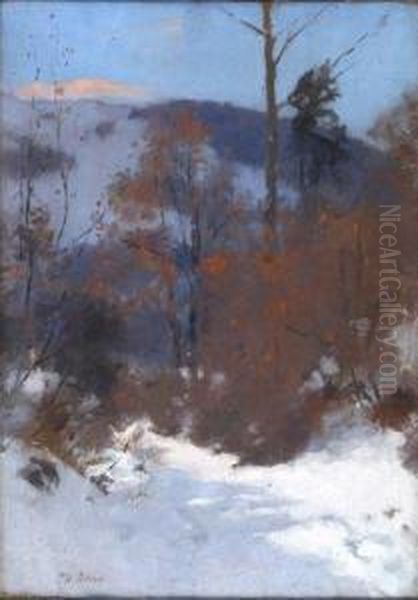 Wooded Landscape Under Snow - view 1