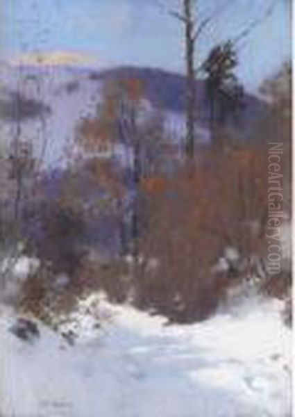 Under Heavy Snow - view 1