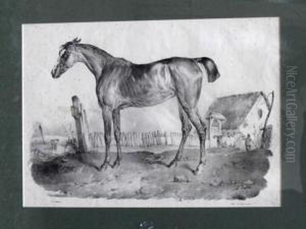 Cheval Au Paddock. - view 1